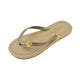 Gold Shell - Studs Flat Women's Flip Flops Sandal