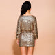 Brenda Sequin Dress